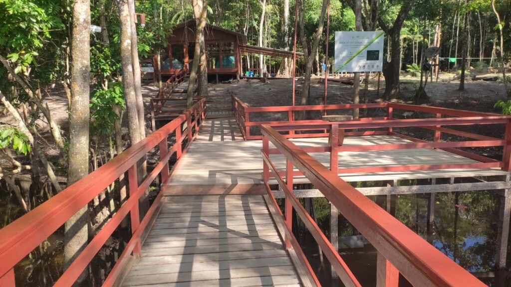 FRENTE BASE 03